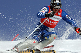 Skiing braces and supports