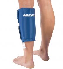 Leg