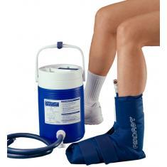 Ankle