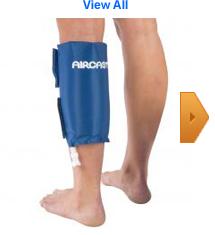 Leg