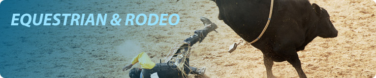 Equestrian and Rodeo Braces