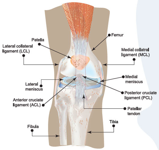 What is a common reason for a torn knee ligament?